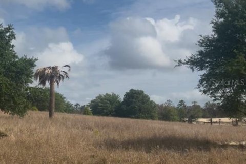 Terreno en venta en Babson Park, Florida № 1612369 - foto 1