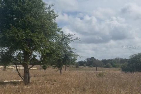 Terreno en venta en Babson Park, Florida № 1612369 - foto 6