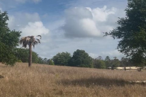 Terreno en venta en Babson Park, Florida № 1612369 - foto 10