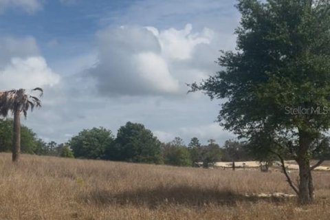 Terreno en venta en Babson Park, Florida № 1612369 - foto 7