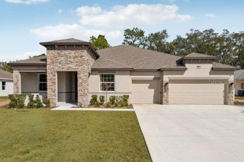 House in Plant City, Florida 4 bedrooms, 290.78 sq.m. № 2225060