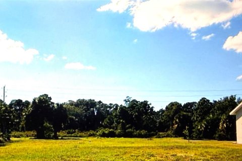 Terreno en Rotonda, Florida № 2098497