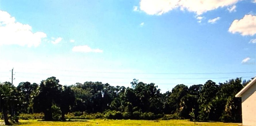 Terreno en Rotonda, Florida № 2098497