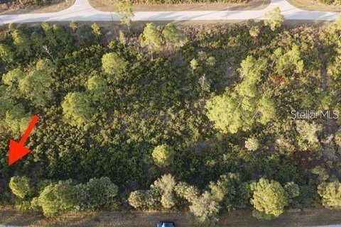 Land in Port Charlotte, Florida № 2162747 - photo 2