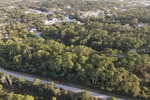 Land in Port Charlotte, Florida № 2162747 - photo 5