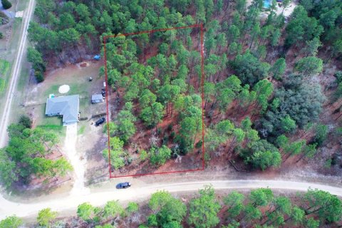 Terreno en venta en Ocala, Florida № 1670846 - foto 3