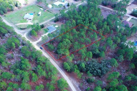 Terreno en venta en Ocala, Florida № 1670846 - foto 1