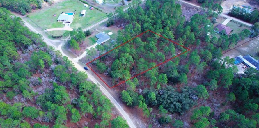 Terreno en Ocala, Florida № 1670846