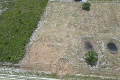 Commercial property in Okeechobee, Florida № 2177200 - photo 3