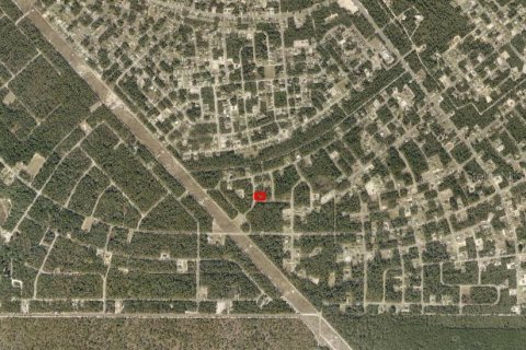 Terreno en venta en Ocala, Florida № 1626042 - foto 3