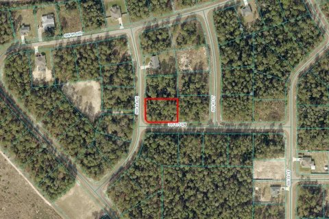 Terreno en venta en Ocala, Florida № 1626042 - foto 2