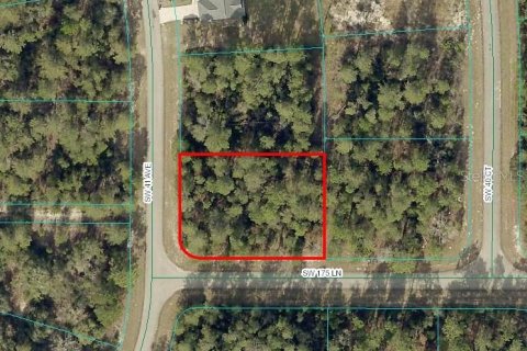 Terreno en venta en Ocala, Florida № 1626042 - foto 1