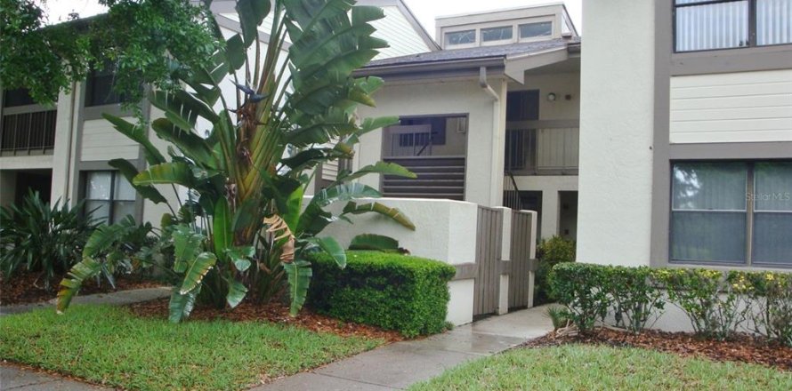 Condo à Oldsmar, Floride, 1 chambre № 1817394