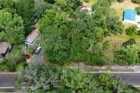 Land in Brooksville, Florida № 1681111 - photo 4