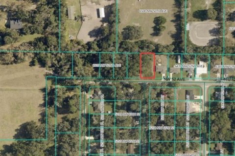 Land in Ocala, Florida № 2164264 - photo 2