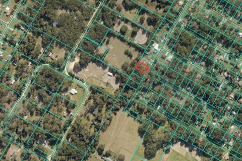 Land in Ocala, Florida № 2164264 - photo 3