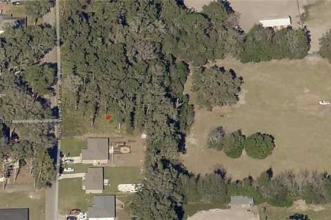 Land in Ocala, Florida № 2164264 - photo 8
