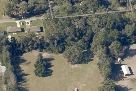 Land in Ocala, Florida № 2164264 - photo 7