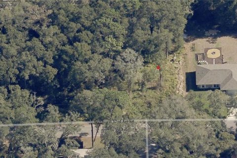 Land in Ocala, Florida № 2164264 - photo 9