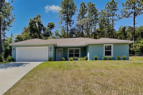 House in Citrus Springs, Florida 4 bedrooms, 151.99 sq.m. № 2197295