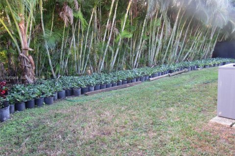 Снять в аренду квартиру в Саутвест-Ранчес, Флорида 1 спальня, 253.72м2, № 1991794 - фото 12