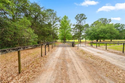 Villa ou maison à vendre à Alachua, Floride: 3 chambres, 210.61 m2 № 2223156 - photo 6