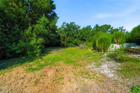 House in Lutz, Florida 4 bedrooms, 211.82 sq.m. № 2209512 - photo 20