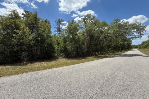 Land in Webster, Florida № 2165621 - photo 4