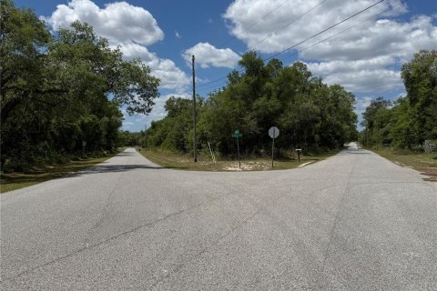 Land in Webster, Florida № 2165621 - photo 3