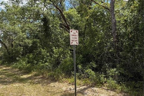 Land in Webster, Florida № 2165621 - photo 7