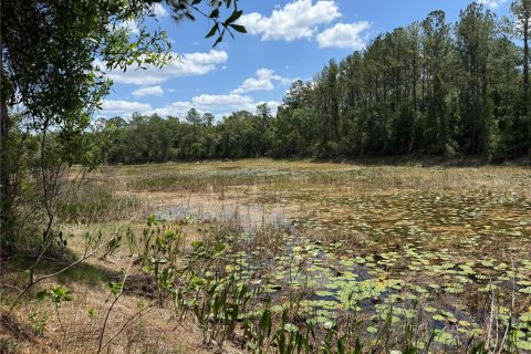 Land in Webster, Florida № 2165621 - photo 9