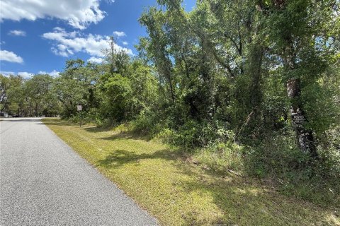 Land in Webster, Florida № 2165621 - photo 11