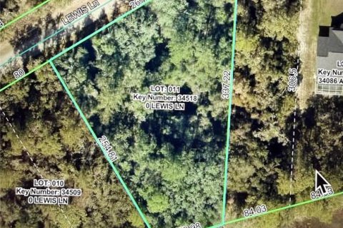 Land in Webster, Florida № 2165621