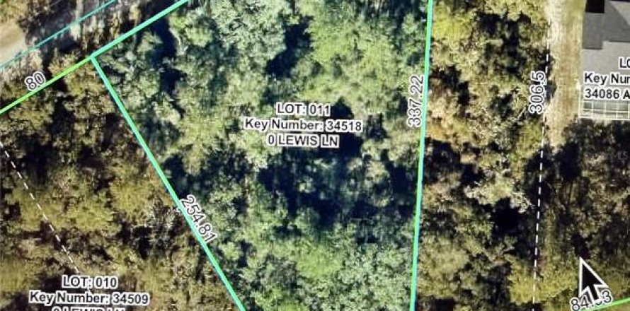 Land in Webster, Florida № 2165621