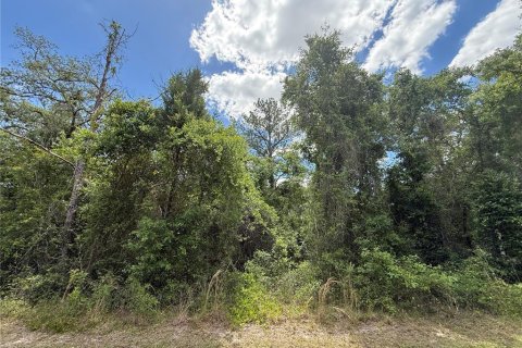 Land in Webster, Florida № 2165621 - photo 12