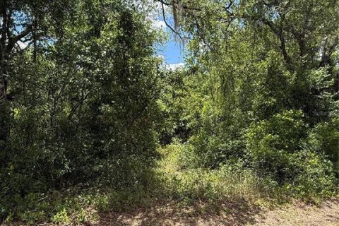 Land in Webster, Florida № 2165621 - photo 13