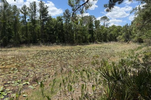 Land in Webster, Florida № 2165621 - photo 10