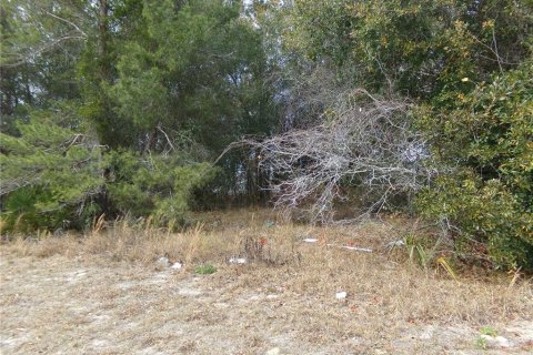 Terreno en venta en Deltona, Florida № 2108719 - foto 2