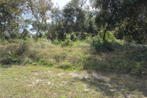 Terrain à Deltona, Floride № 2108719