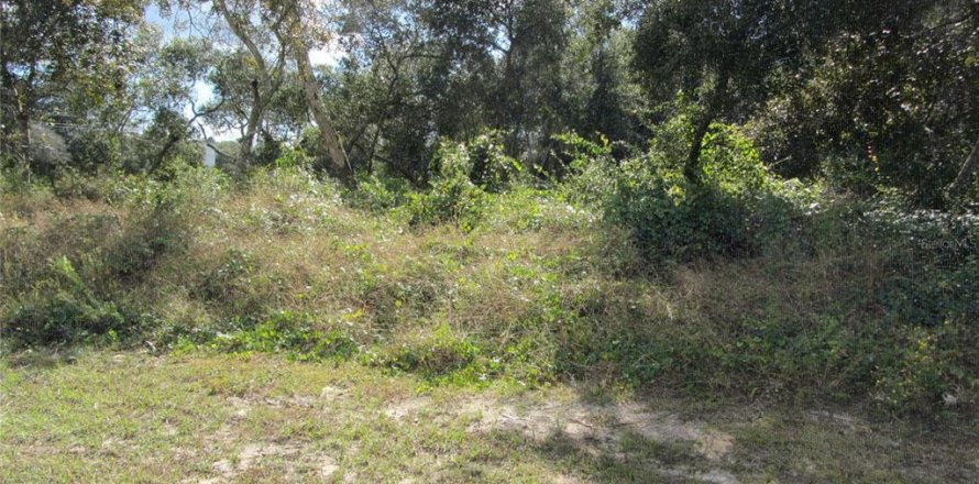 Terreno en Deltona, Florida № 2108719