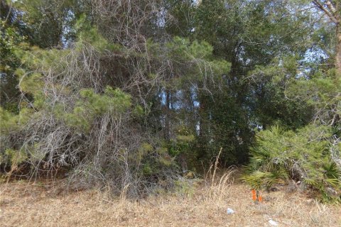Terreno en venta en Deltona, Florida № 2108719 - foto 5