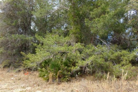 Terreno en venta en Deltona, Florida № 2108719 - foto 4