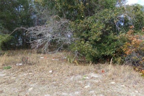 Terreno en venta en Deltona, Florida № 2108719 - foto 3