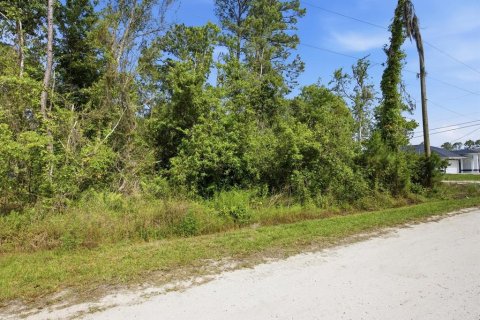 Terrain à vendre à DeLand, Floride № 2160790 - photo 6