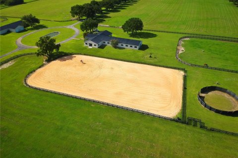 Villa ou maison à vendre à Ocala, Floride: 6 chambres, 642.88 m2 № 1780677 - photo 5