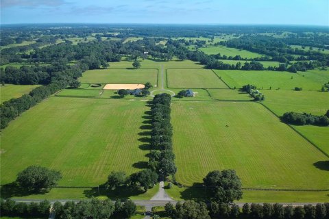 Villa ou maison à vendre à Ocala, Floride: 6 chambres, 642.88 m2 № 1780677 - photo 3