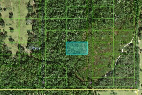 Terrain à vendre à Polk City, Floride № 2162234 - photo 2