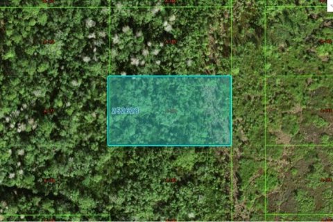 Terrain à Polk City, Floride № 2162234