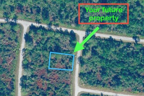 Land in Sebring, Florida № 2160165 - photo 2