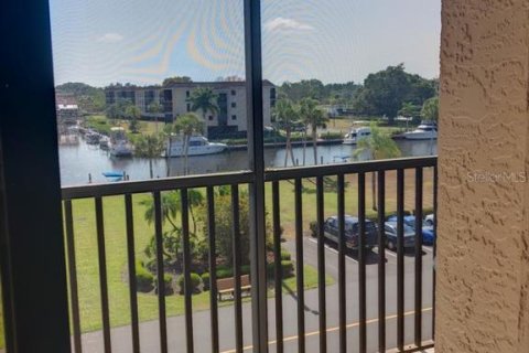 Condo in Punta Gorda, Florida, 2 bedrooms  № 216664 - photo 20